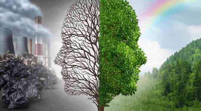 La importancia de la educación ambiental