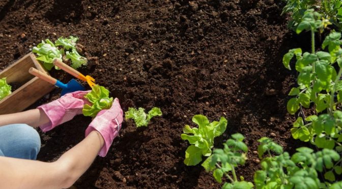 Un aprendizaje sostenible