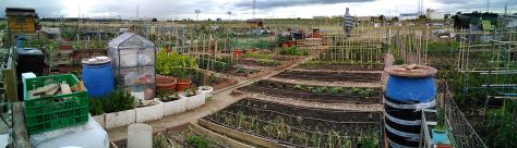 Outdoor - Boy Holding Globe.jpg